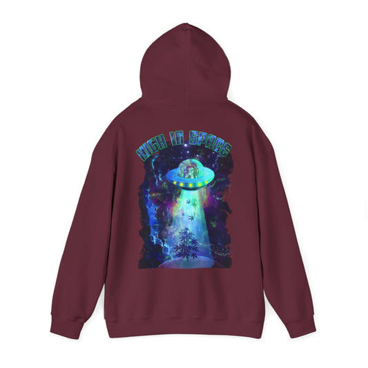 Festival Hoodie – High in Space